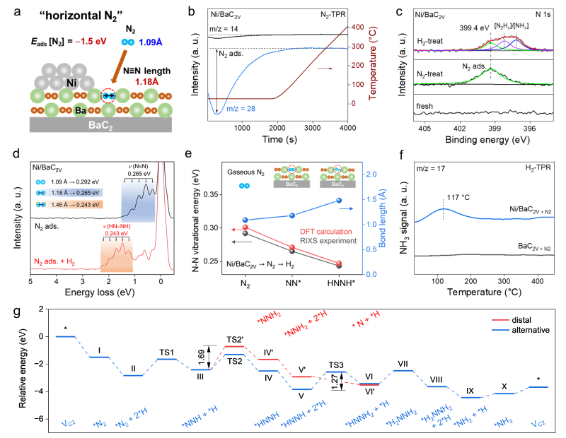 上海交大叶天南团队利用C2缺陷实现氮气水平吸附活化与高效合成氨