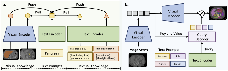 上海交大人工智能学院智慧医疗团队提出文本驱动的3D医学图像分割基础模型