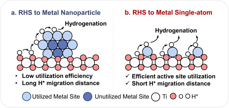 上海交大张礼知团队发文报道铑单原子配位环境调控促进反向氢溢流和电化学还原脱氯