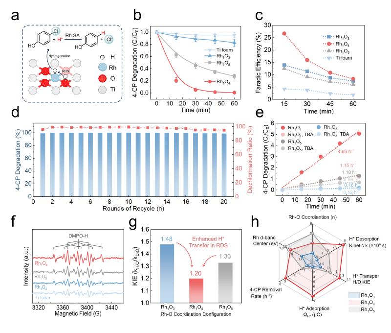 上海交大张礼知团队发文报道铑单原子配位环境调控促进反向氢溢流和电化学还原脱氯