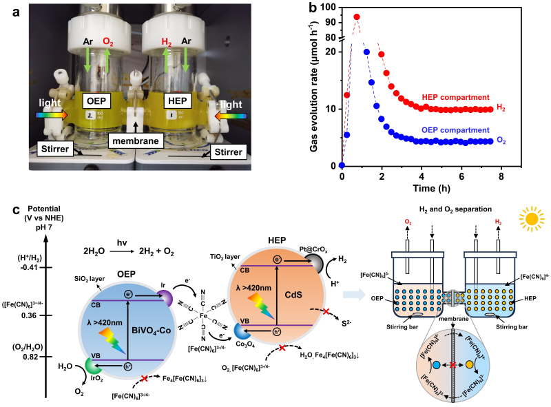 上海交大江治副教授在太阳光驱动纯水分解制绿氢研究中取得新进展
