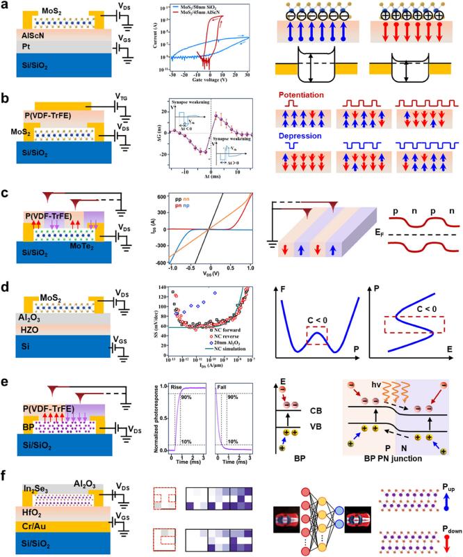 上海交大钱小石教授团队发文综述铁电—二维材料杂化体系,开辟后摩尔时代电子器件研究新方向