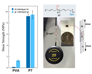 上海交大朱晨团队通过开发偕二硼聚烯烃作为平台聚合物实现多样性导向聚合物后修饰