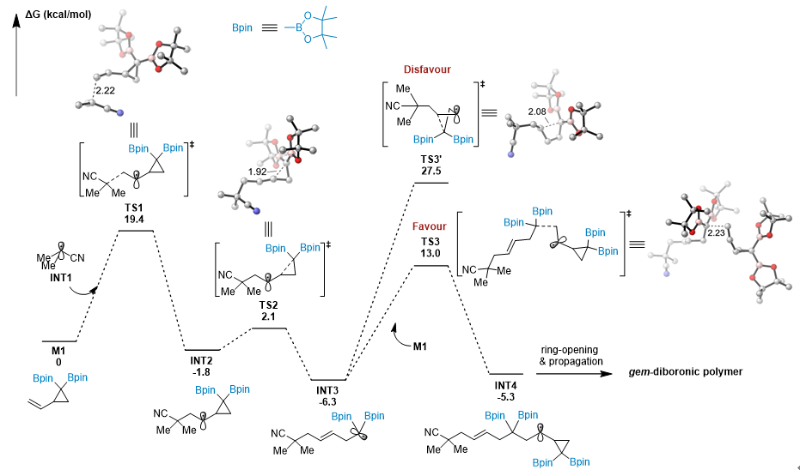 上海交大朱晨团队通过开发偕二硼聚烯烃作为平台聚合物实现多样性导向聚合物后修饰