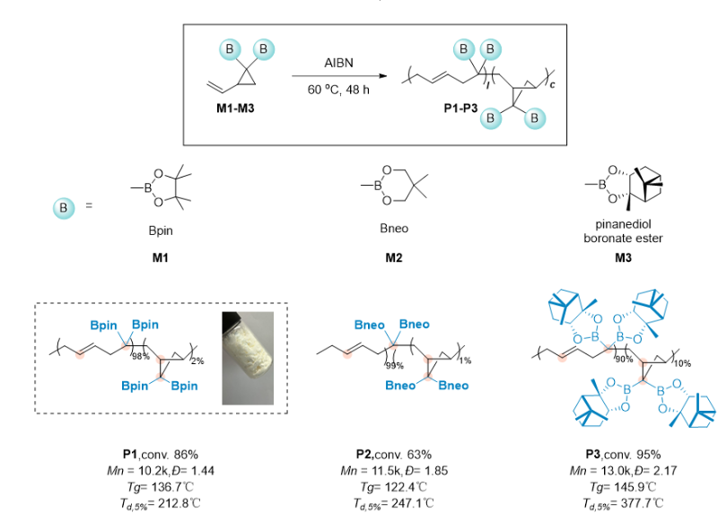 上海交大朱晨团队通过开发偕二硼聚烯烃作为平台聚合物实现多样性导向聚合物后修饰