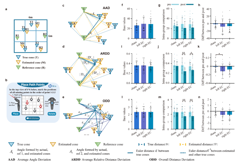 上海交大赵冰蕾/刘满华团队揭示左右内嗅皮质在路径整合的功能分工