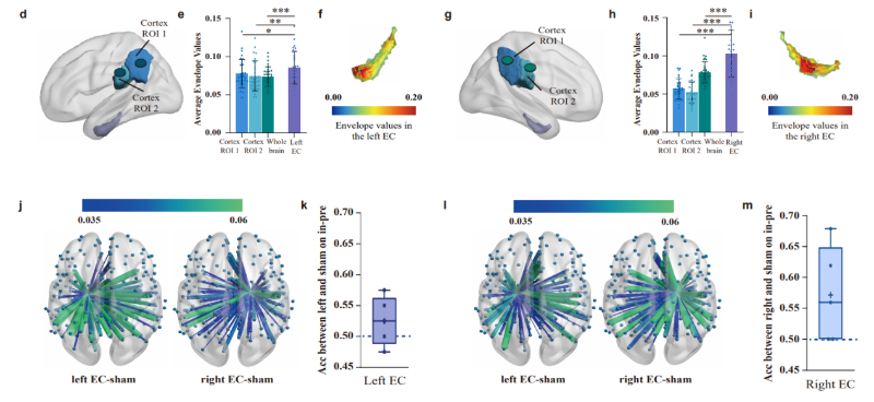上海交大赵冰蕾/刘满华团队揭示左右内嗅皮质在路径整合的功能分工