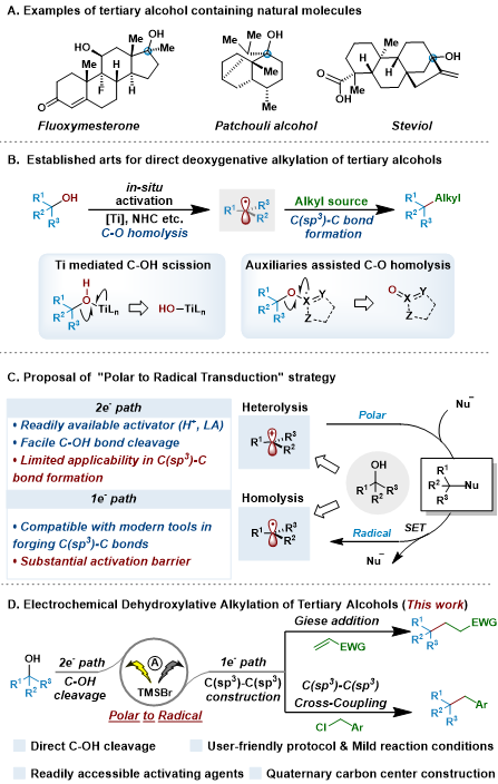 上海交大商明团队实现电化学三级醇直接脱羟基反应构筑季碳中心