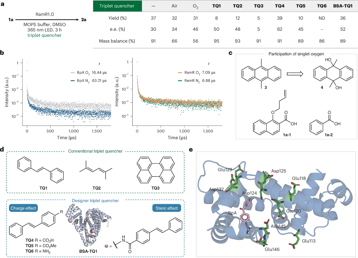 华中科技大学化学与化工学院钟芳锐吴钰周团队取得人工光酶“区室化”催化新进展