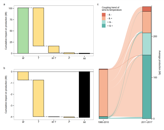 北京师范大学国家安全与应急管理学院副教授徐佳路团队在Nature Communications发文揭示风速对玉米生产的重要作用