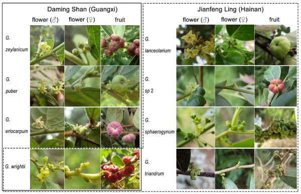 研究揭示专性互惠关系宏观演化可持续维持机制