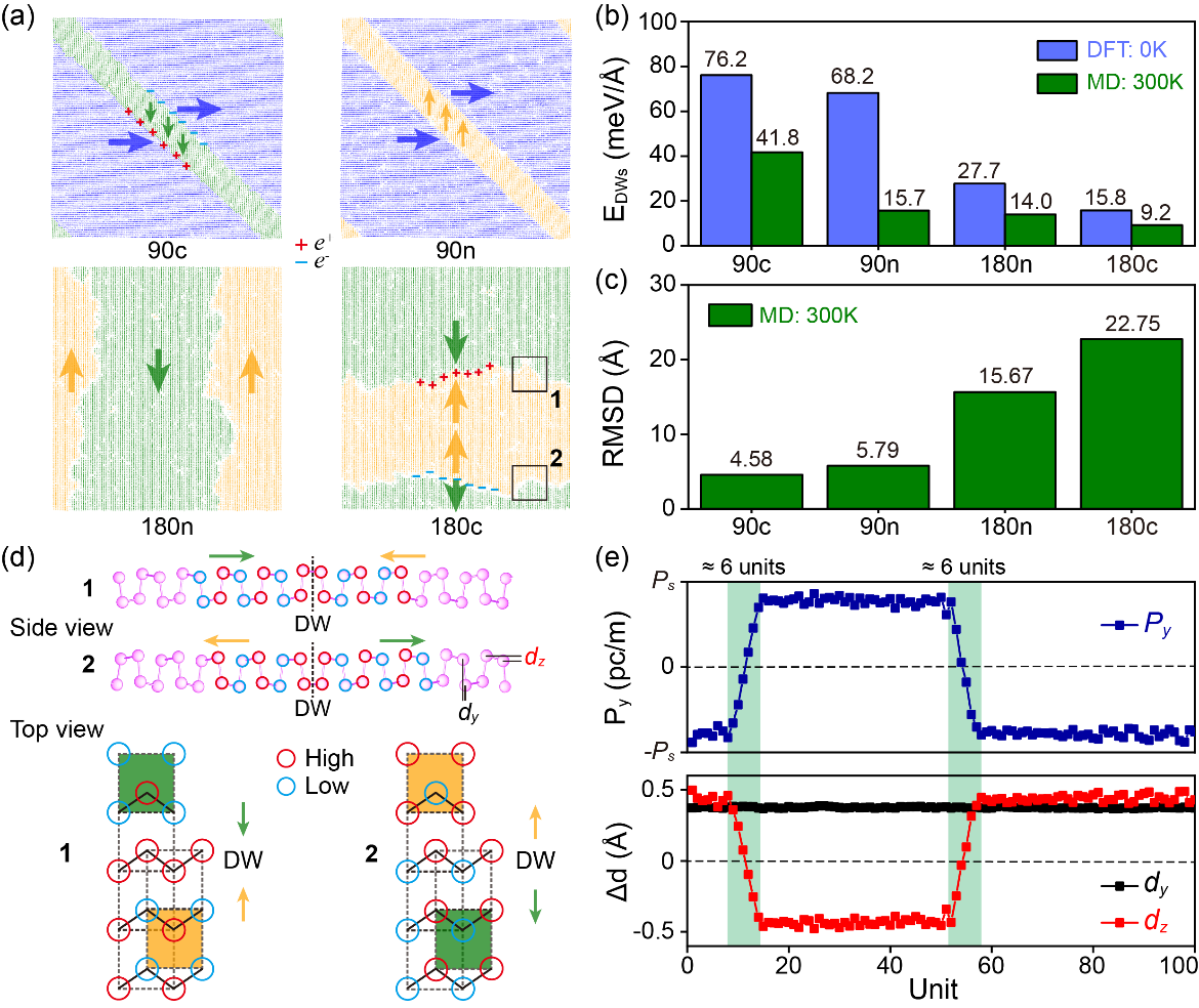 西安交大研究人员在二维铁电拓扑畴领域取得新进展