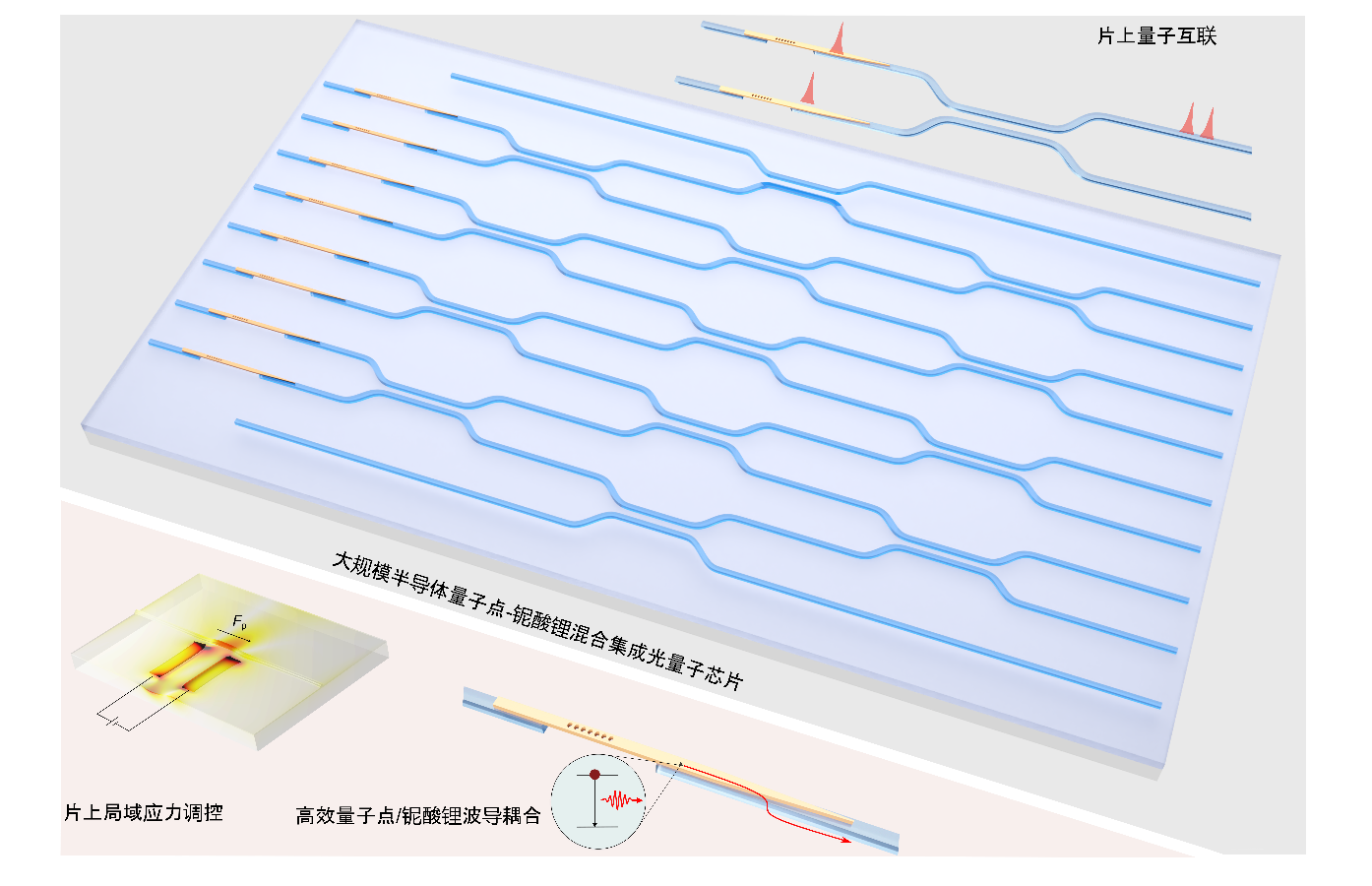 大规模异质集成光量子芯片研究取得进展