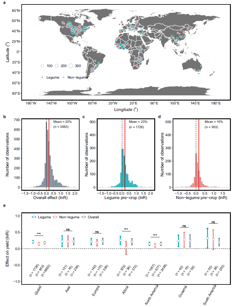 中国农业大学｜张福锁院士团队丛汶峰教授课题组揭示作物轮作协同“产量-营养-收益”三赢新路径 推动农业绿色可持续发展