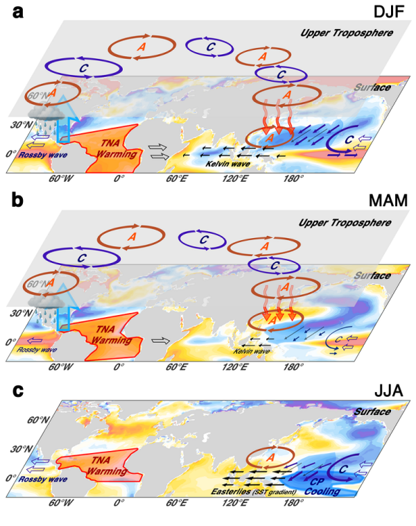 研究揭示全球变暖下三大洋协同驱动西北太平洋反气旋增强