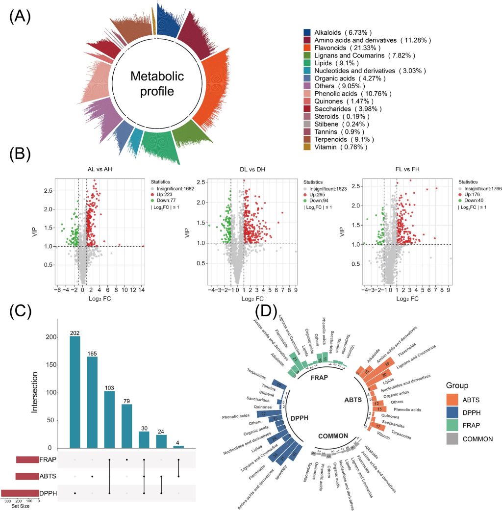亚林所科研团队在山茶油抗氧化机制研究中取得新进展