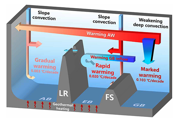 中国海洋大学在北极海洋快速变化研究领域取得新进展