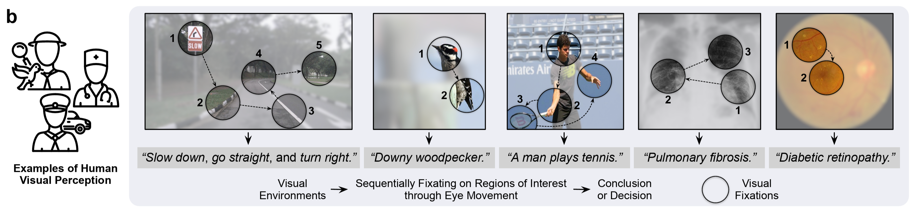 清华大学自动化系宋士吉、黄高团队提出具备人自适应主动感知能力的动态神经网络架构