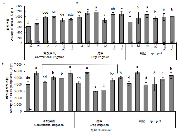 杨树大径材人工林水肥一体化栽培技术取得重要研究进展