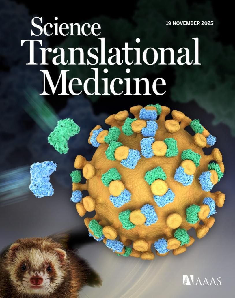 南京大学南京大学医学院吴喜林团队在防治蜱传致命病毒 SFTSV 感染取得突破性进展
