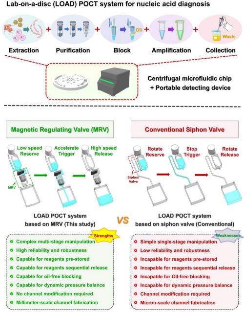 科研人员研发出基于离心微流控芯片的多种食源性病原体即时检测系统