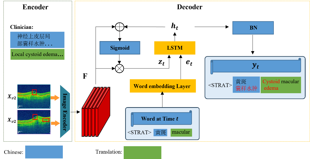 电子科技大学医学院陈新建教授团队在Nature子刊npj Digital Medicine发表研究成果