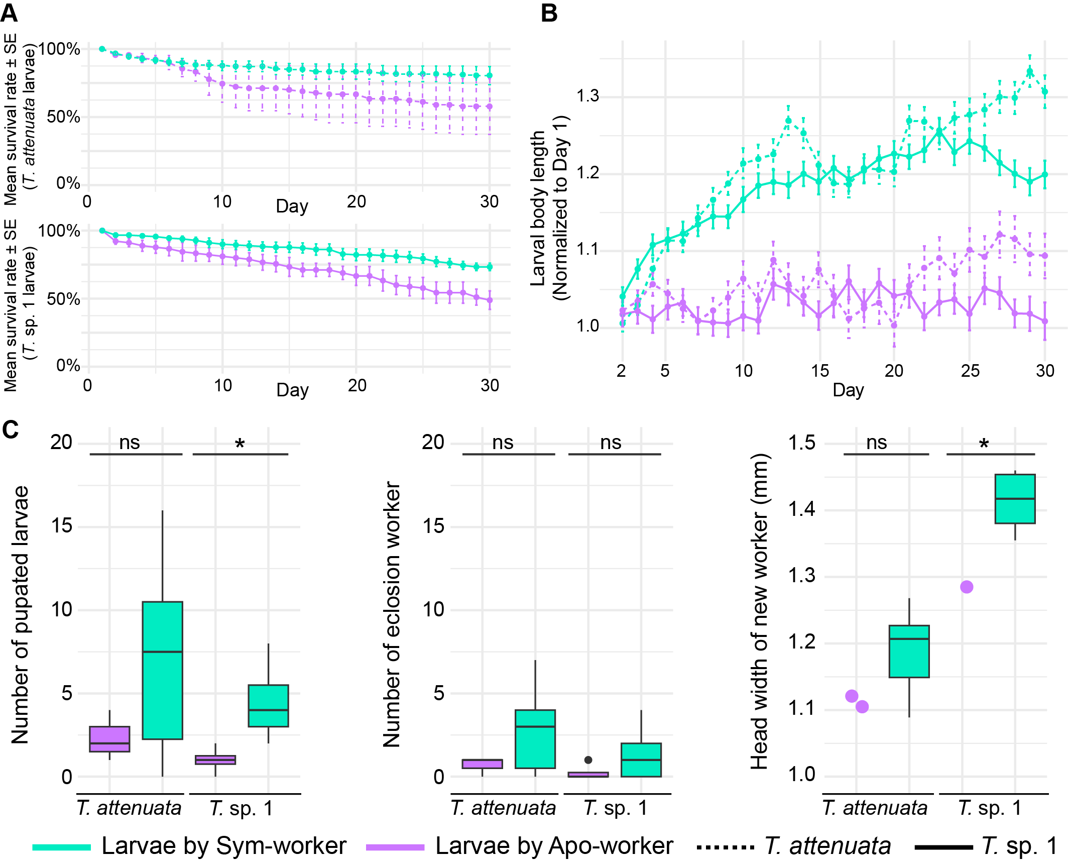 北京师范大学生命科学学院胡仪教授课题组在PNAS发文揭示群体营养共生方案:蚂蚁体内特化的细菌袋如何养活“吃素”的蚁群
