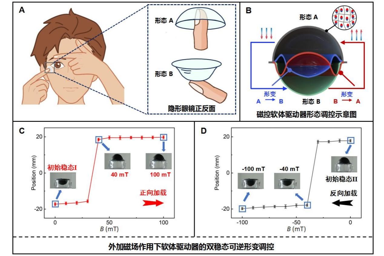 华中科技大学强磁场中心李亮团队在磁控软体驱动器领域取得重要进展