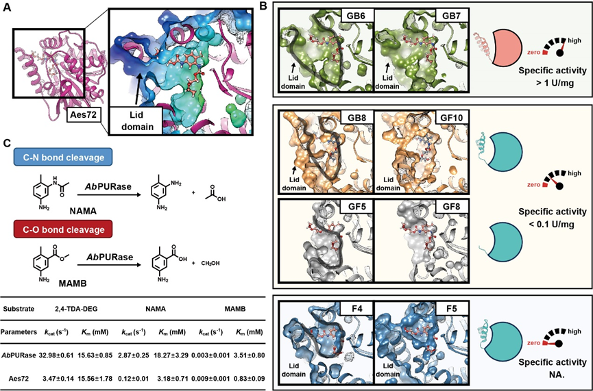吴边/崔颖璐团队在Science刊发最新研究成果