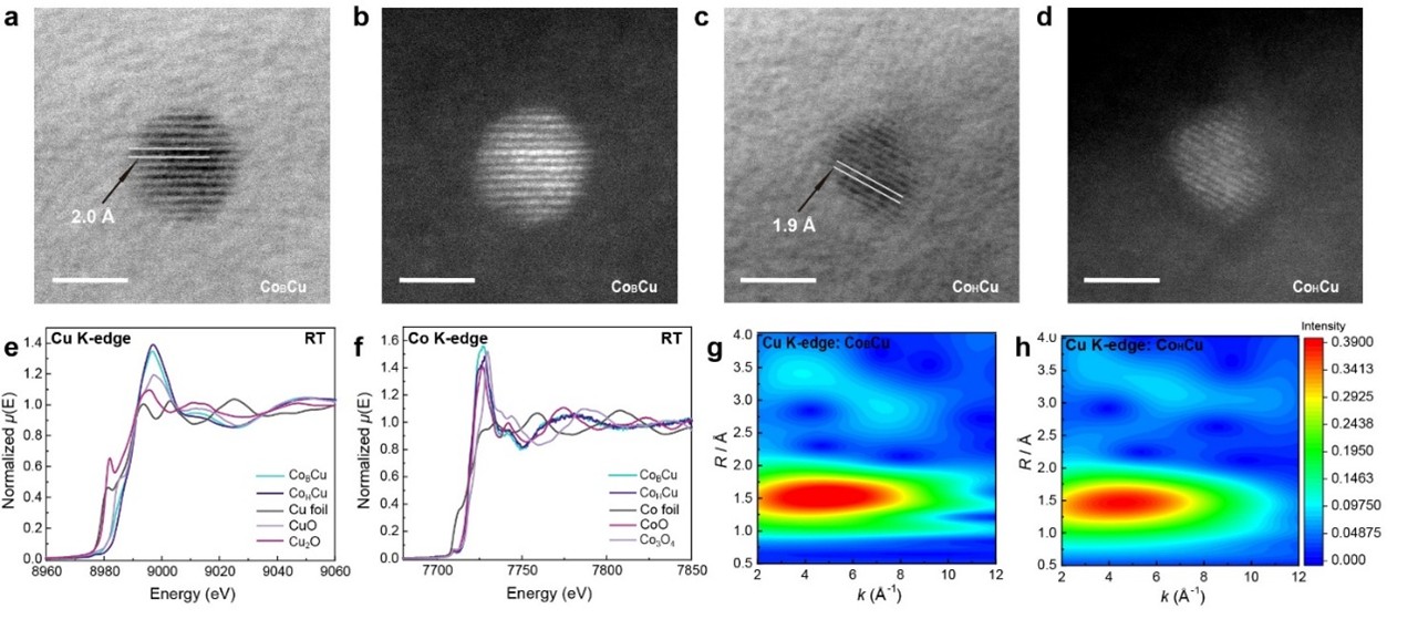 研究揭示键能对催化活性的影响