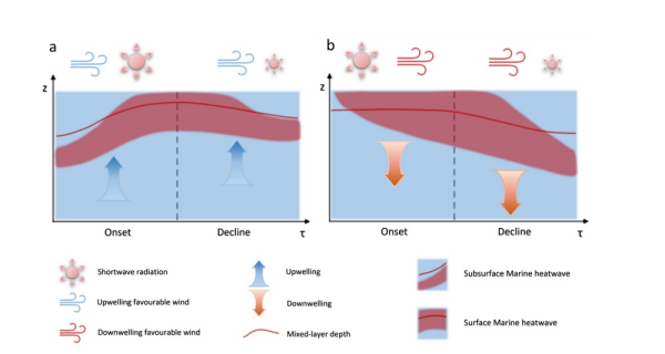 研究揭示粤港澳大湾区海洋热浪垂向演化机制