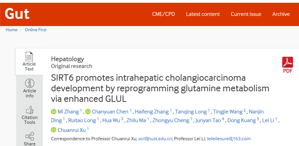 华中科技大学药学院徐传瑞教授团队发现肝内胆管癌谷氨酰胺代谢重编程新机制