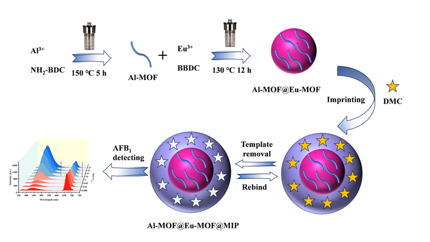 中国农业大学理学院化学系张三兵副教授团队在黄曲霉毒素B1荧光传感检测方面取得重要进展