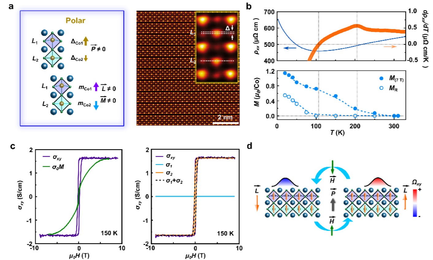 清华大学物理系于浦课题组合作在反铁磁极化金属关联物性研究中取得进展