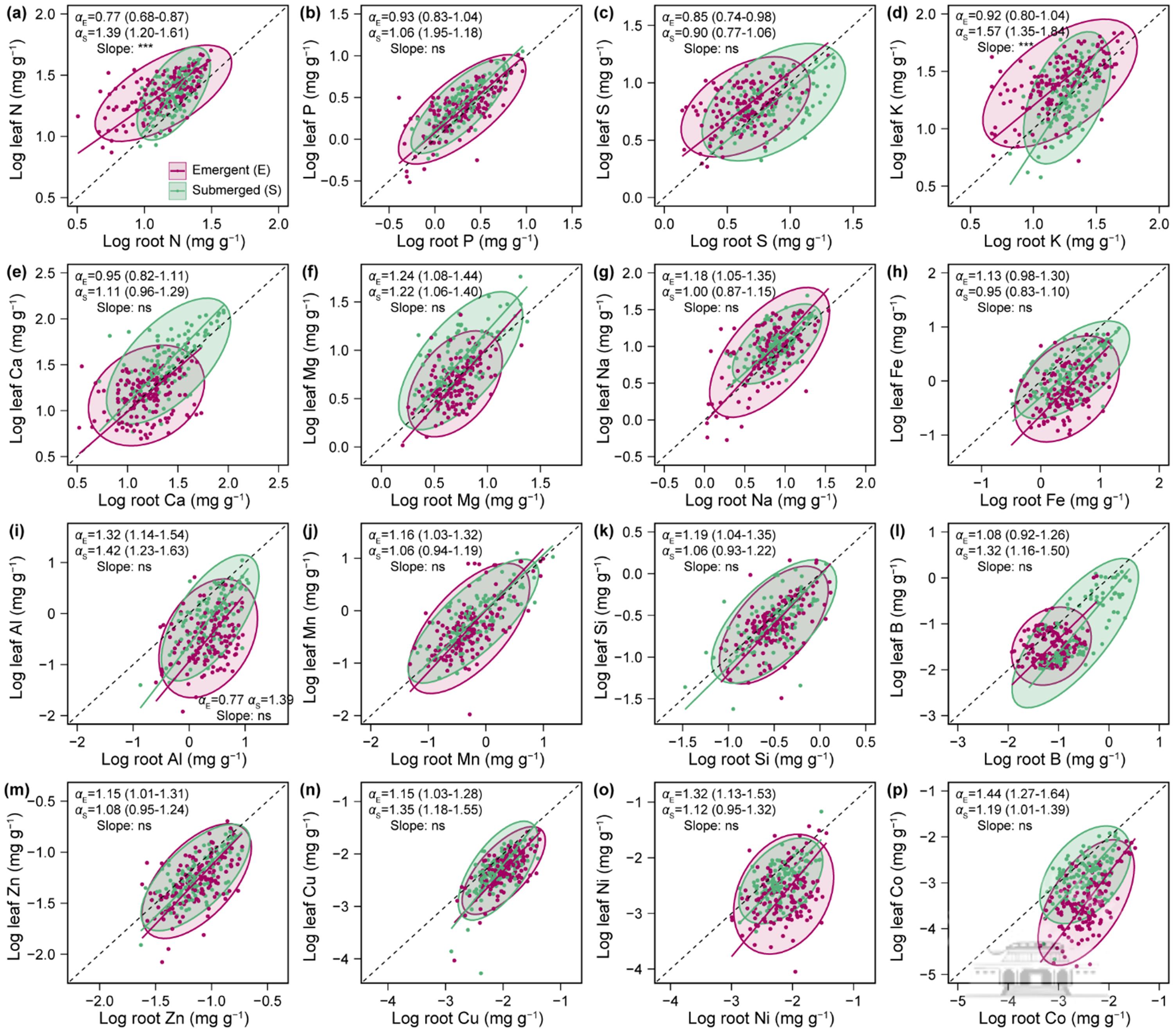 武汉大学梁子湖国家站在湿地水生植物生态研究取得新进展