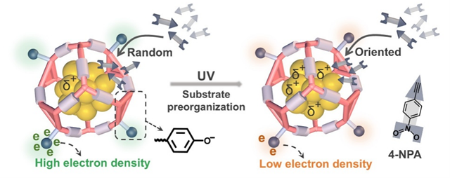 北理工团队揭示分子笼基嵌套结构中电子交流机制在高效仿生催化中的作用