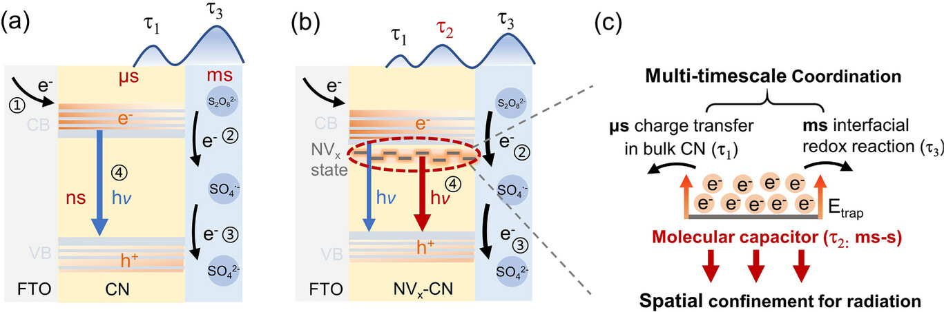 东南大学张袁健团队在电化学发光领域取得重要进展