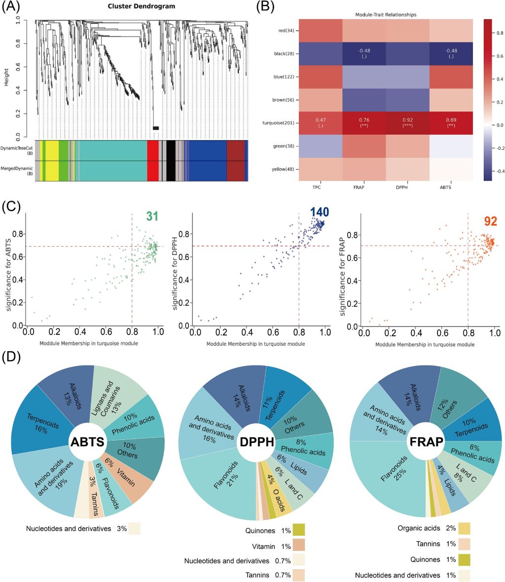亚林所科研团队在山茶油抗氧化机制研究中取得新进展