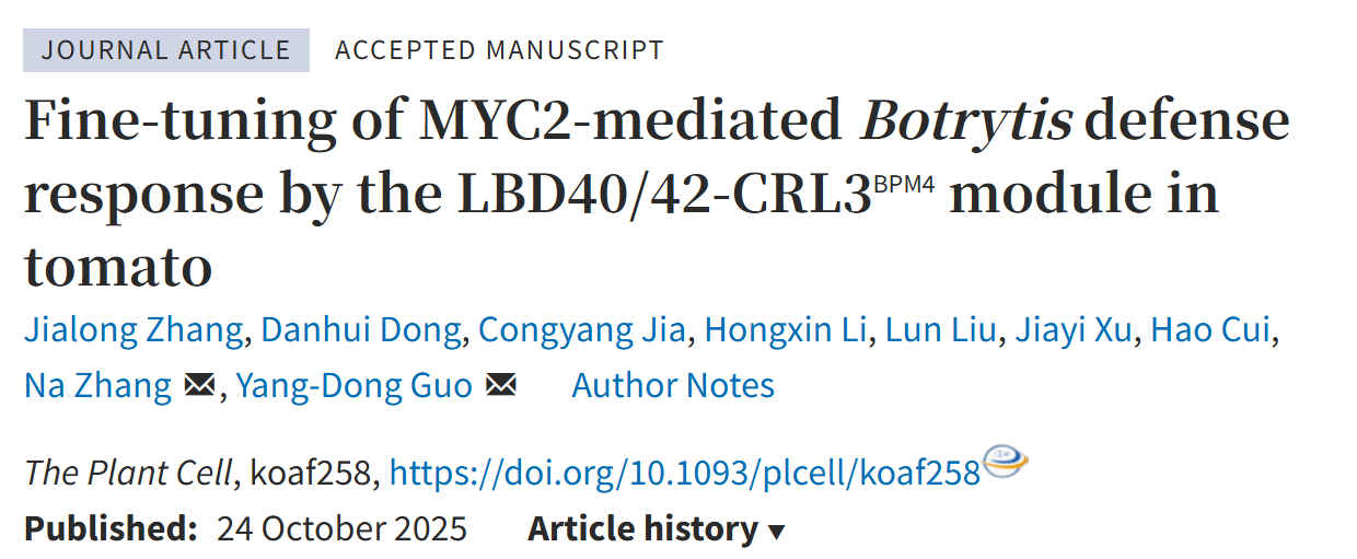 中国农业大学园艺学院郭仰东、张娜团队解析番茄生长和防御动态平衡密码