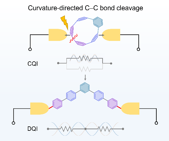 碳纳米环单分子器件对称性调控研究取得进展