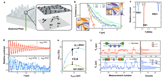 中国科大实现纠缠增强纳米尺度单自旋量子传感