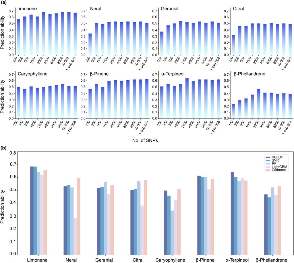亚林所科研团队在山苍子全基因组选择育种中取得新进展