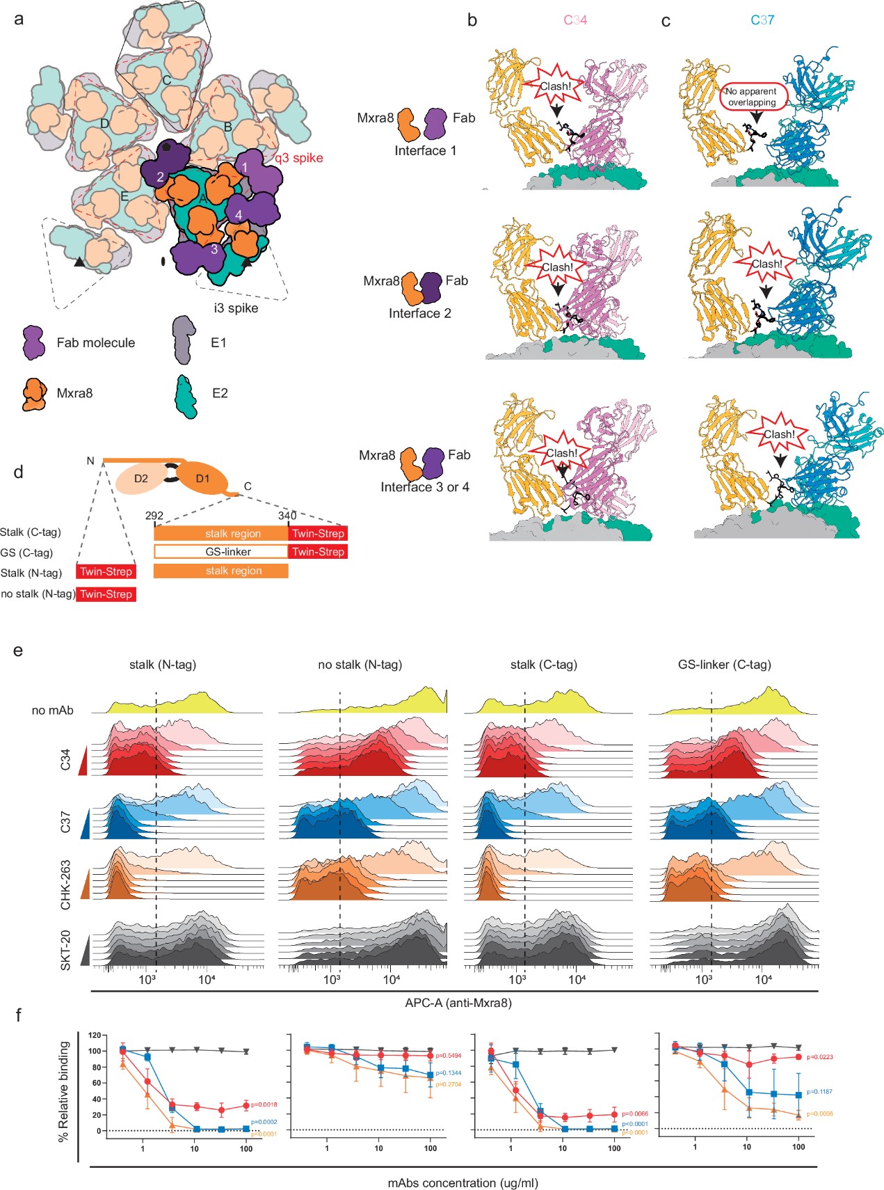 抗基孔肯雅病毒中和抗体及作用机制研究获进展