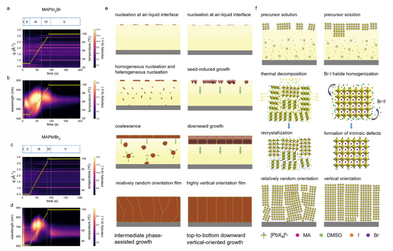 电子科技大学物理学院乔梁教授团队在EES上发表重要研究成果