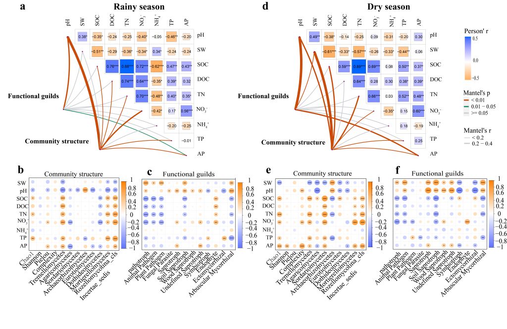 速生树木所在桉树采伐迹地土壤养分与微生物协同修复研究中取得新进展