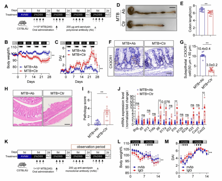 南京大学Science发文！南大团队首次发现全球公认难治性疾病的致病原因
