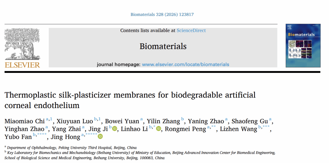 北京大学北大第三医院眼科洪晶/彭荣梅研究团队开发全球首个生物可降解角膜内皮替代物并揭示角膜内皮屏障新机制