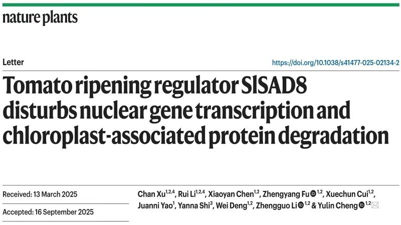 重庆大学李正国、成玉林团队在《Nature Plants》发表研究成果
