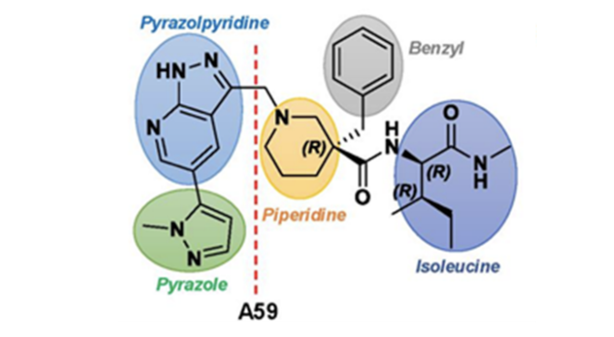 中国农业大学植保学院刘俊峰、王冬立团队报道Pmk1可作为兼具预防和治疗功能的杀菌剂靶标