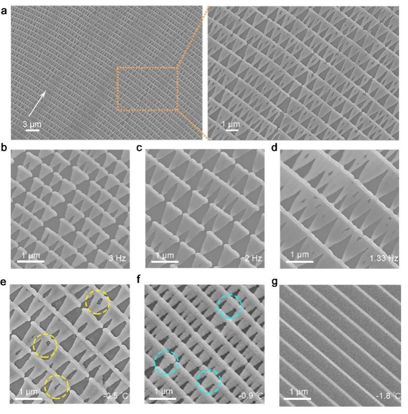 南京大学物理学院王牧和彭茹雯研究团队实现宏观尺寸的可用于神经网络计算的纳米磁性网络